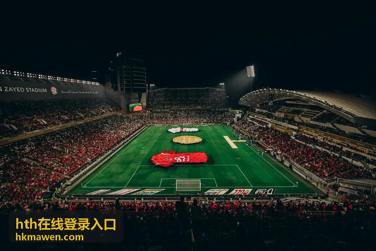 hth在线登录入口安全验证流程图示